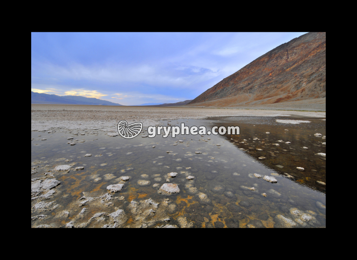 Eaux salines de Bad Water (Death Valley NP, California, USA) - gryphea.com